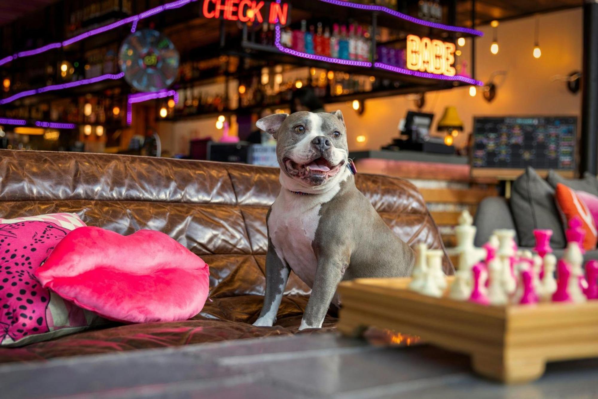 Moxy Washington, Dc Downtown Exterior foto