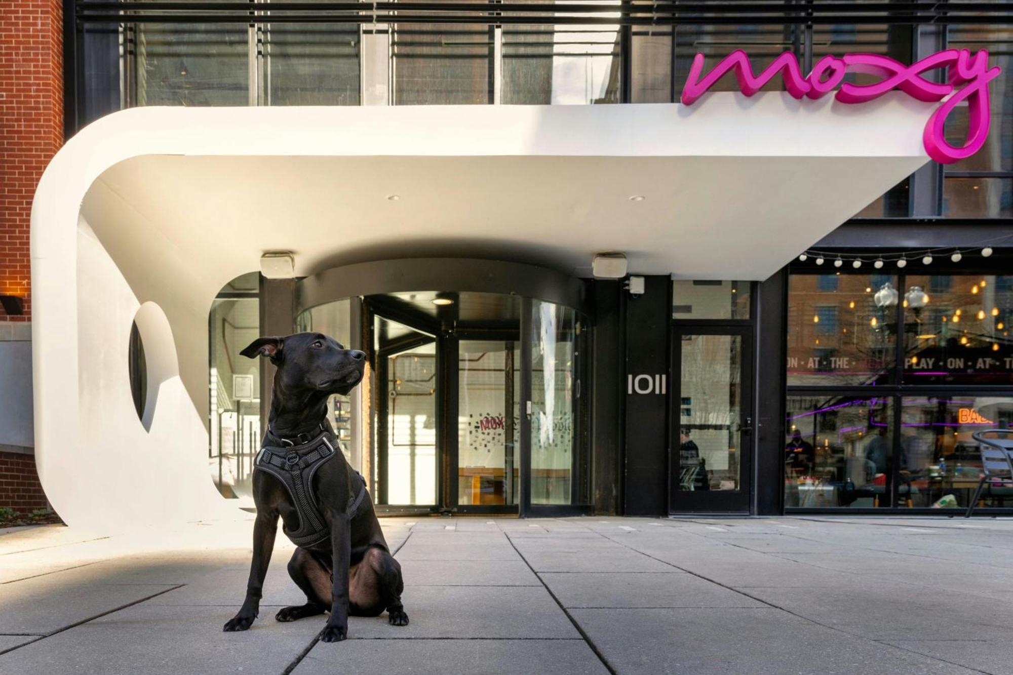 Moxy Washington, Dc Downtown Exterior foto